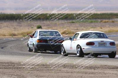 media/Oct-04-2025-OnGrid (Sat) [[44bd565ffa]]/Purple Group/Grapevine/